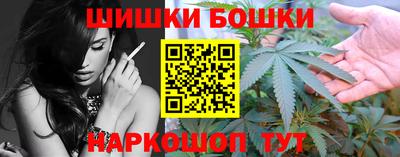 сатива Кингисепп