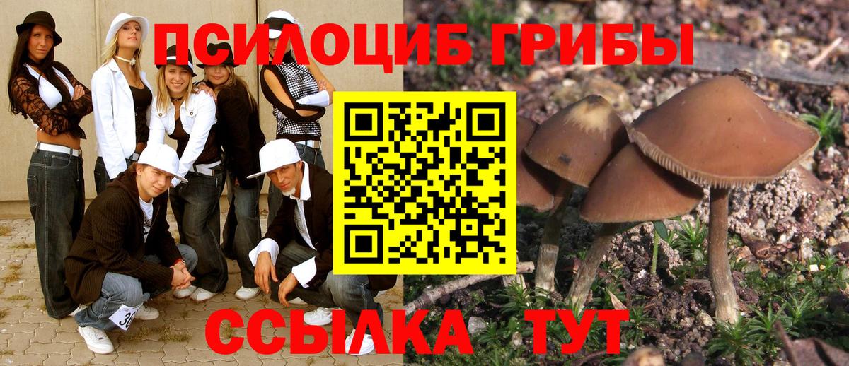 Галлюциногенные грибы GOLDEN TEACHER Красноармейск