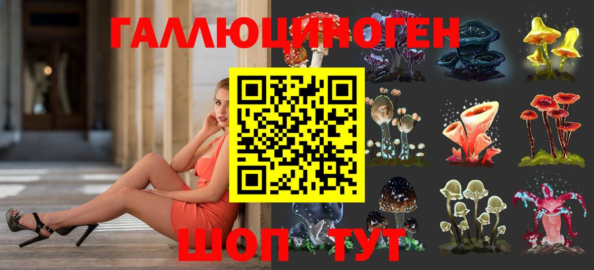 Псилоцибиновые грибы Magic Shrooms  Вход с VPN  сколько стоит  Красноармейск 